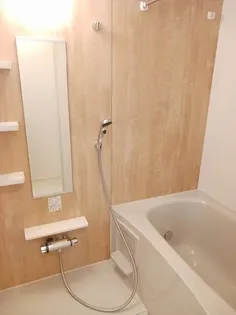 ウェル アイランドS−Ⅰ【1階】の風呂