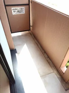 ラフィ−ナサイト2【1階】の内装