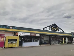 スイート スプリング Ⅲ A【2階】の周辺