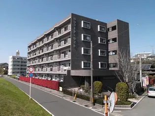 ラフィーナ サイトの画像