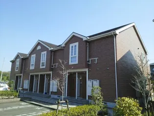 フォーリストナチュラルAの画像