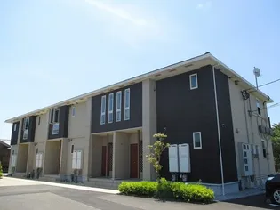 ハナミズキIの画像