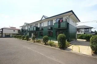 サン ミニオンの画像