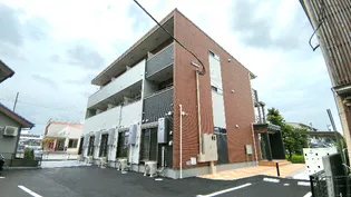 TEA TREEの画像