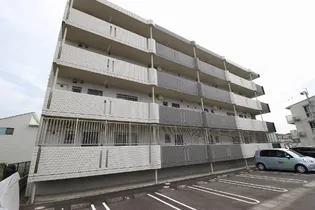 ラヴィドールの画像