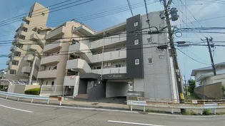 マリベール柳丸の画像