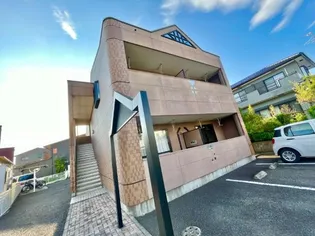 PURE SHANGRIーLAの画像