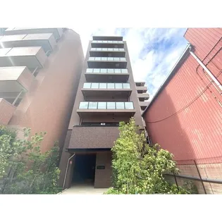 フラットレモンの画像