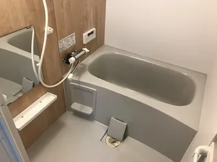 Sorutiga【102号室】の風呂