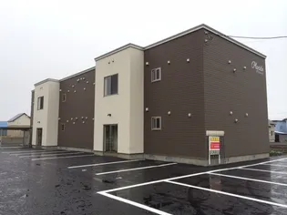 プラシードの画像