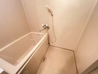 ルミエール花園【6階】の風呂