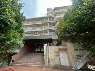 大阪府大阪市西成区南津守4丁目【マンション】の外観