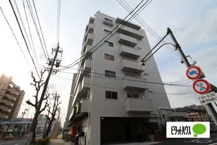 キクシンビルの画像
