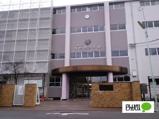 Rapport中江【4階】の周辺