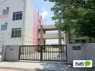 Rapport中江【4階】の周辺