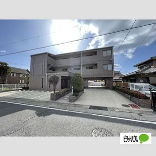 ドリームコートの画像