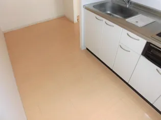 アクシス三本木【3階】のキッチン