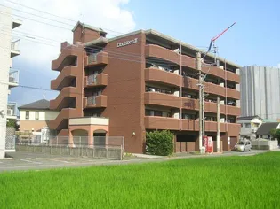 ダブルーンⅢの画像