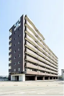 レブリアント板付の画像