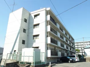 ハピネス岡村【407号室】の外観