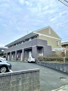 ARUBA T T板付の画像