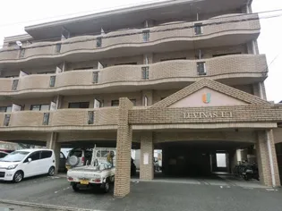 ドルフィン那珂川の画像