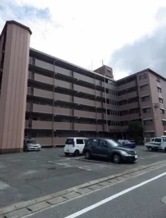 南福岡渡辺ビル【408号室】の外観