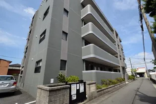 サングレイズの画像