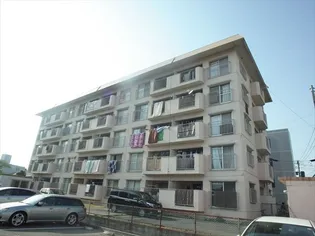 ジェミニ井尻の画像