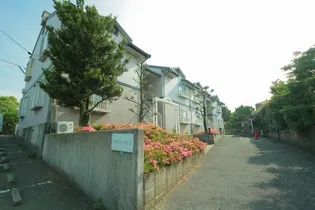 プリムローズ ヒルの画像