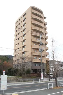 Palais Felicia(パレ フェリシア)【3階】の外観