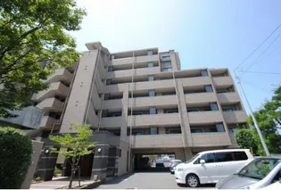 GRACIOUS筑紫通り(グレイシャス筑紫通り)【4階】の外観