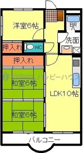 ホワイトグレース20【101号室】の間取り