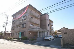 ドルチェ12の画像