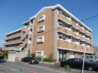 サニープレイスの画像