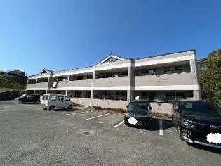 アミューズベアーⅡの画像