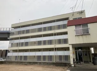 桔梗ハイツの画像