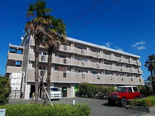 サニープレイスの画像