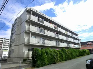 エクセルN86の画像