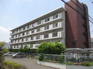 テゾーロ博多南の画像