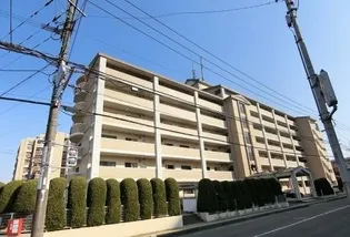 レスピーザ53の画像