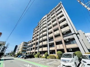 シャロームミキの画像
