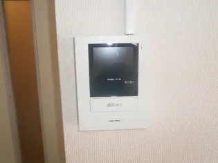 テラ・コート・イビザ【202号室】のその他画像