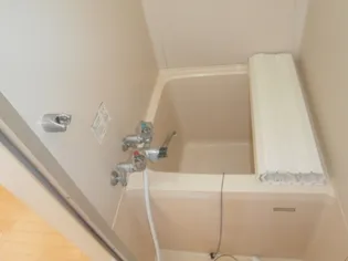 テラ・コート・イビザ【202号室】の風呂