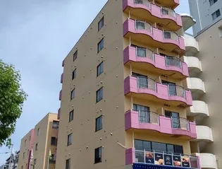 ローヤルハイツ菊水駅【601号室】の外観