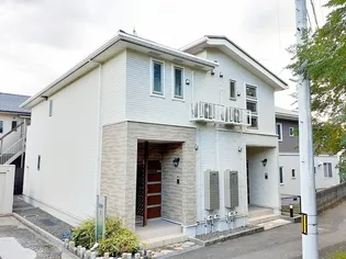 レティスSの画像