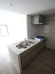 レーベン東川口ZEFEEL【208号室】のキッチン