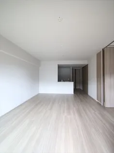 レーベン東川口ZEFEEL【208号室】の居間