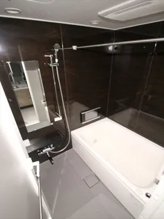 レーベン東川口ZEFEEL【208号室】の風呂