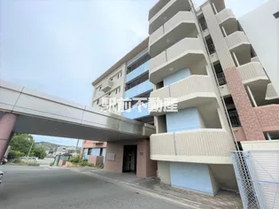 サンライトヒルズ広川【501号室】の外観